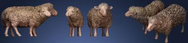 3D model shepherd and sheep.6 (STL)